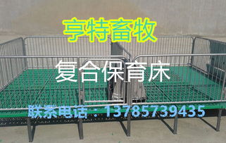 橡膠復(fù)合墊在養(yǎng)豬設(shè)備中的應(yīng)用與市場(chǎng)報(bào)價(jià)分析