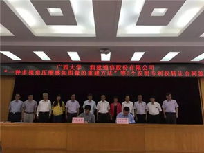 南寧市科技成果轉化對接活動成果斐然 科技中介服務成關鍵助推器